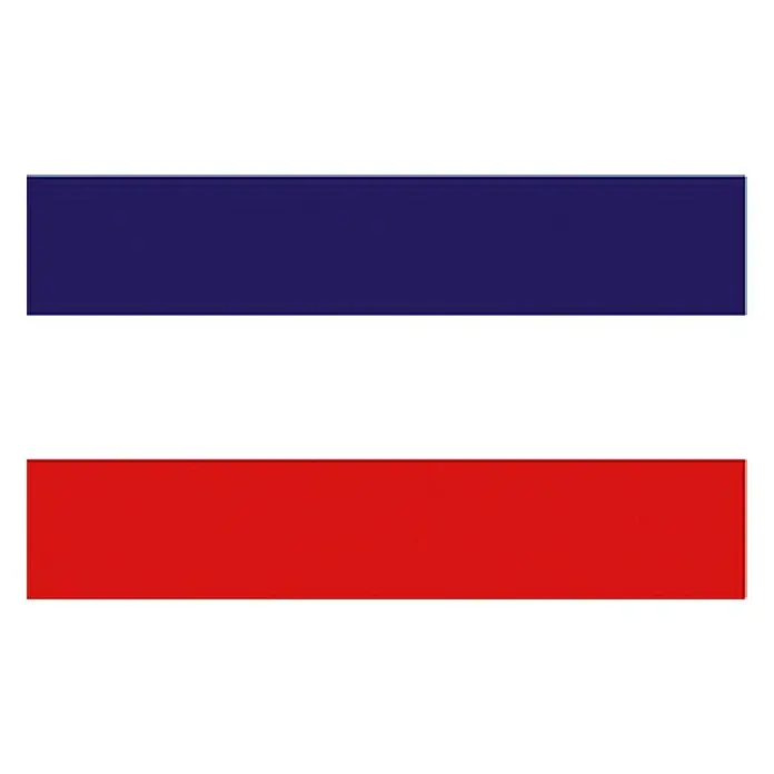Flagge - Schleswig-Holstein, 30 x 20 cm, Spunpolyester - Vorderansicht