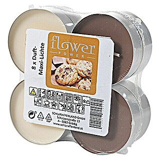 Duft-Teelicht Maxi (8 Stk., Cookies)