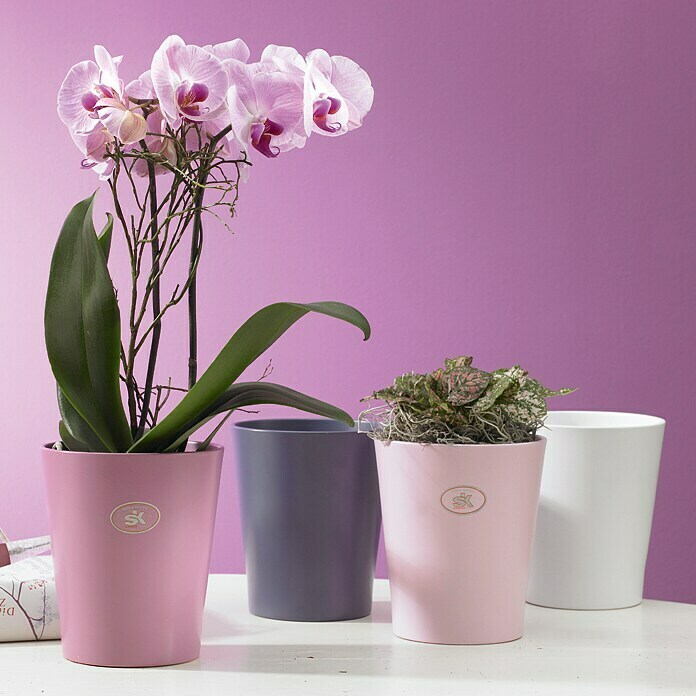 SK Vaso per orchidee Merina Pretty (Diametro: 14 cm, altezza: 15 cm,  ceramica, rosa)