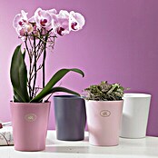 SK Orchideentopf Merina Pretty (Durchmesser: 14 cm, Höhe: 15 cm, Keramik, Fuchsia)