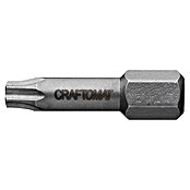 Craftomat Bit Metaal (TX 25, 25 mm, 2-delig)