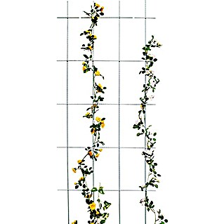 Bellissa Potporanj za cvijeće (60 x 150 cm, Debljina materijala: 5 mm, Broj podupirača: 4 Kom., Srebrne boje)