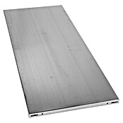 Regalux Legplank (50 x 120 cm, Verzinkt)