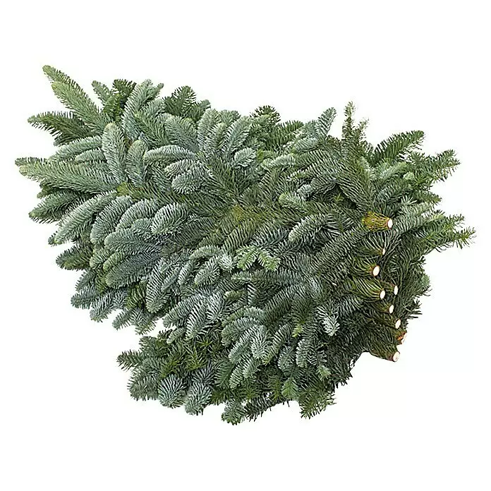 Piardino Nobilis TannenreisigSchnittgrün, 2,5 kg