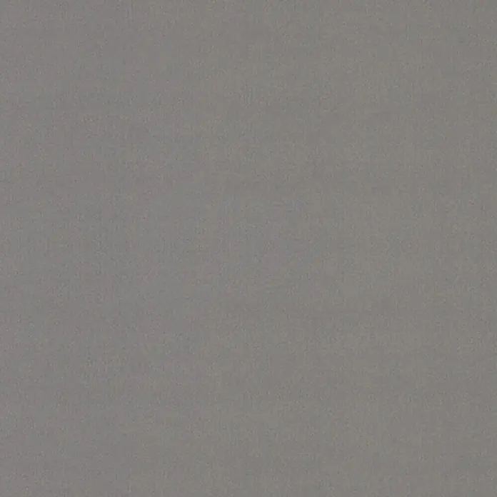 Expo Ambiente Flächenvorhang Basic - Grau, 100 % Polyester, B x H: 60 x 300 cm - Das Bild zeigt eine einfarbige, graue Textur, die subtile Variationen aufweist und für Hintergründe oder Designelemente geeignet ist.