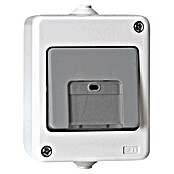 Voltomat FLUID Conmutador para estancias con humedad (Gris, En pared, IP44)