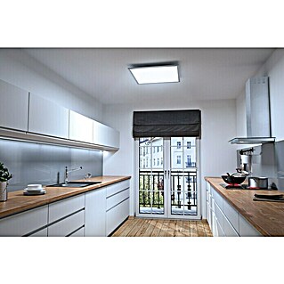 Ledvance LED-Panel Planon Plus (36 W, 60 x 60 cm, Weiß, Kaltweiß)