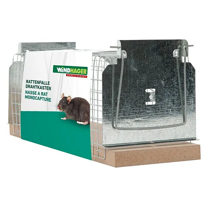 was ist rohasche im hundefutter Rinderfilets (500g-Eimer) main image 0