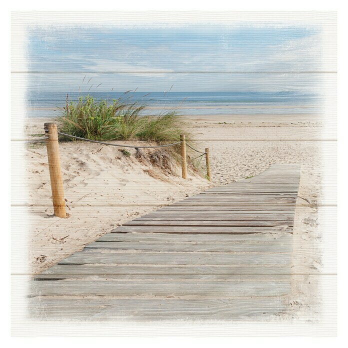 ProArt Young Living LeinwandbildSand Dunes I, B x H: 40 x 40 cm Front View