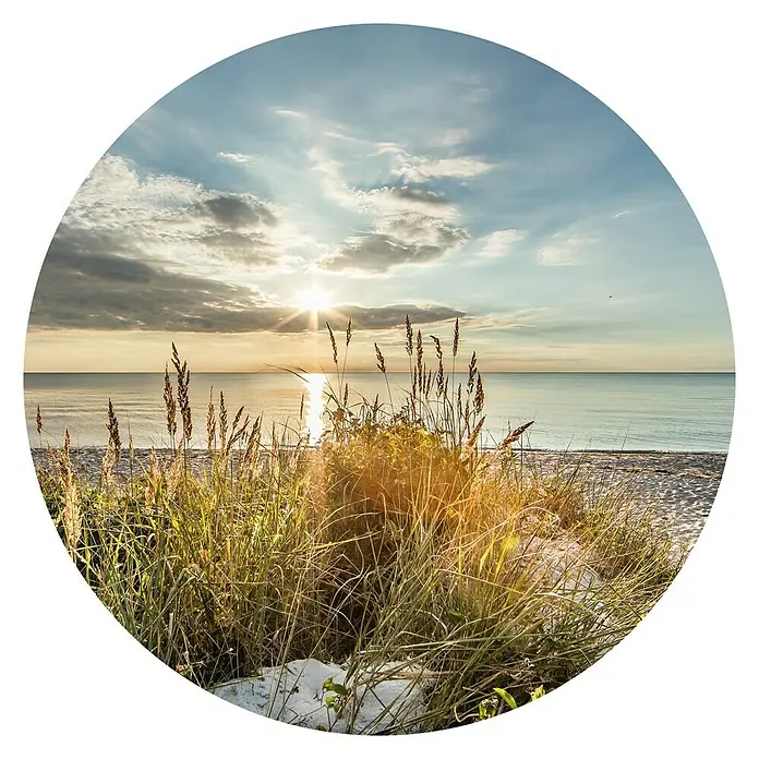 ProArt Glasbild - Wilder Strand, Durchmesser: 20 cm - Die Sonne scheint auf den Strand, während Gräser im Vordergrund eine friedliche Küstenlandschaft zeigen, die Ruhe und Schönheit vereint.