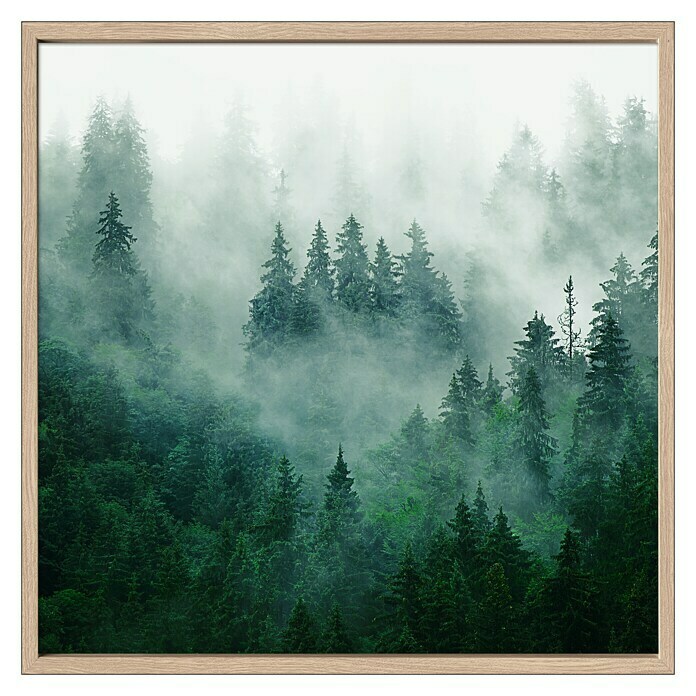 Gerahmtes Wandbild Forest