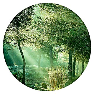 ProArt Glasbild (Forest H. VI, Durchmesser: 20 cm)