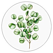 ProArt Glasbild Eukalyptus I (Glas)