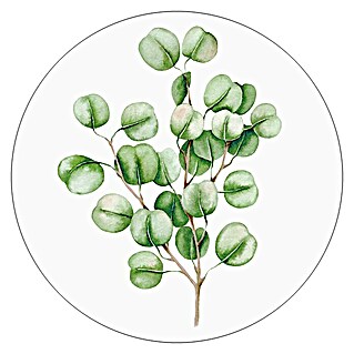 ProArt Glasbild (Eucalyptus, Durchmesser: 20 cm)