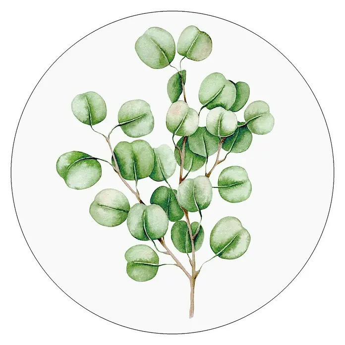 ProArt Glasbild - Eucalyptus, Durchmesser: 20 cm - Vorderansicht