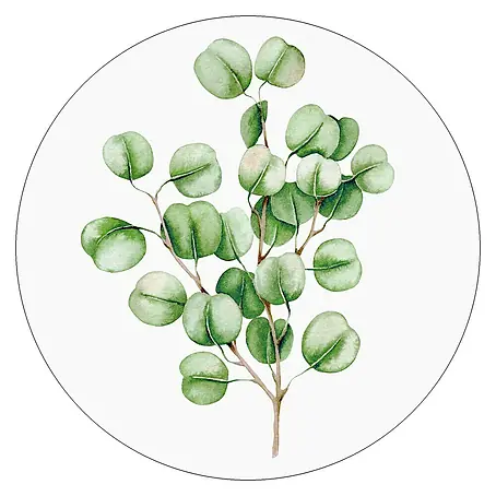 ProArt  Glasbild