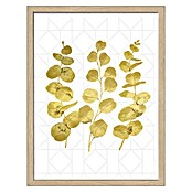 ProArt Gerahmtes Bild Gold Eukalyptus (B x H: 33 x 43 cm)