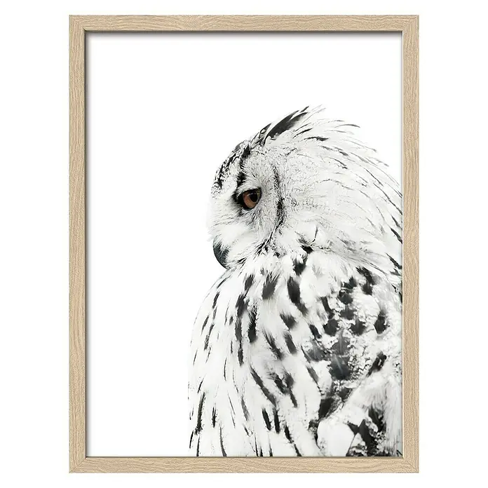 ProArt Bild - Snow Owl, B x H: 33 x 43 cm - Gerahmtes Porträt einer schneebedeckten Eule. Ein wunderschönes Wandbild, das die Schönheit der Natur in Ihr Zuhause bringt.