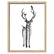 ProArt Gerahmtes Bild Deer with Birds (B x H: 33 x 43 cm)