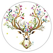 ProArt Glasbild Beautiful Deer (Glas)