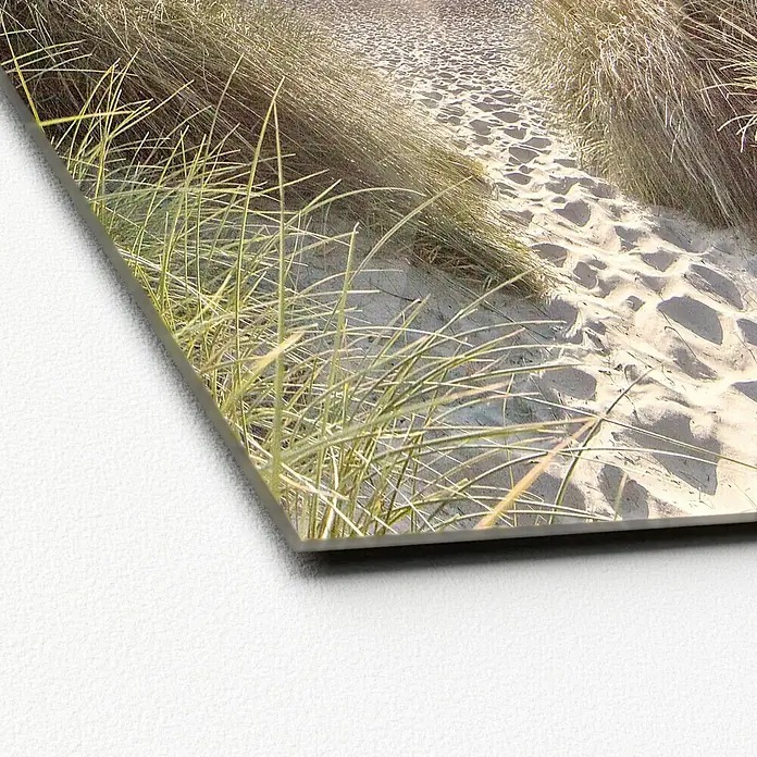 ProArt Glasbild - Nordsee, B x H: 50 x 50 cm - Nahaufnahme eines Direktdrucks auf Platte, der einen Sandweg zwischen Dünengras zeigt, ideal für moderne Raumgestaltung.
