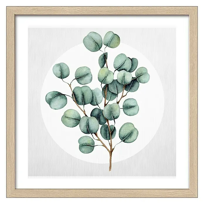 ProArt Bild - Eucalyptus Branches III, B x H: 33 x 33 cm - Gerahmtes Bild mit Eukalyptus-Zweig im Aquarellstil. Ein stilvolles Wandbild für eine natürliche und entspannende Atmosphäre in jedem Raum.