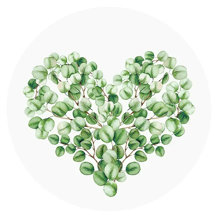 ProArt Glasbild - Eucalyptus, Durchmesser: 30 cm - Herzförmiges Eukalyptus-Arrangement auf weißem Grund. Die grünen Blätter und braunen Zweige bilden eine romantische Herzform.