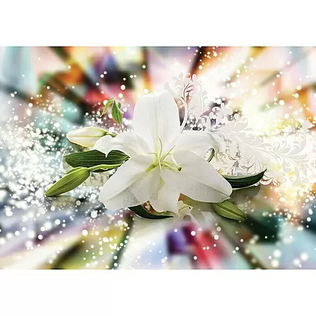 Fototapete Blume Lilie