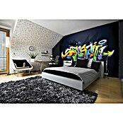 Fototapete Graffiti (368 x 254 cm, Papier)