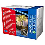 Konstsmide LED-Lichterkette (Außen, 80-flammig, Kabellänge: 12,64 m, Lichtfarbe: Warmweiß)