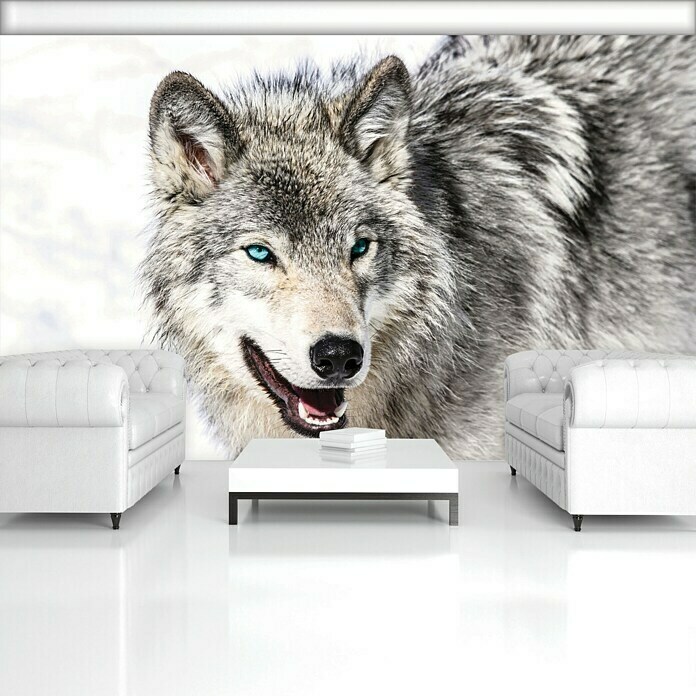Fototapete Wolf-Tier (368 x 254 cm, Papier)