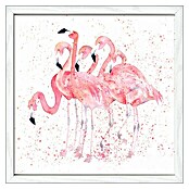 ProArt Gerahmtes Bild (Flamingo Family, B x H: 33 x 33 cm)