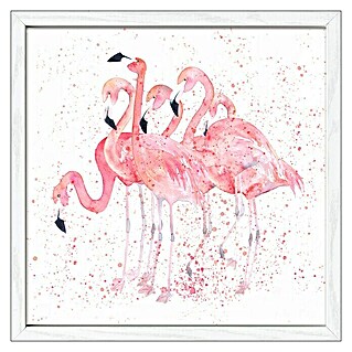 ProArt Bild (Flamingo Family, B x H: 33 x 33 cm)