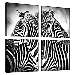 Leinwandbild (Zebras, 50 x 50 cm (4 tlg.))