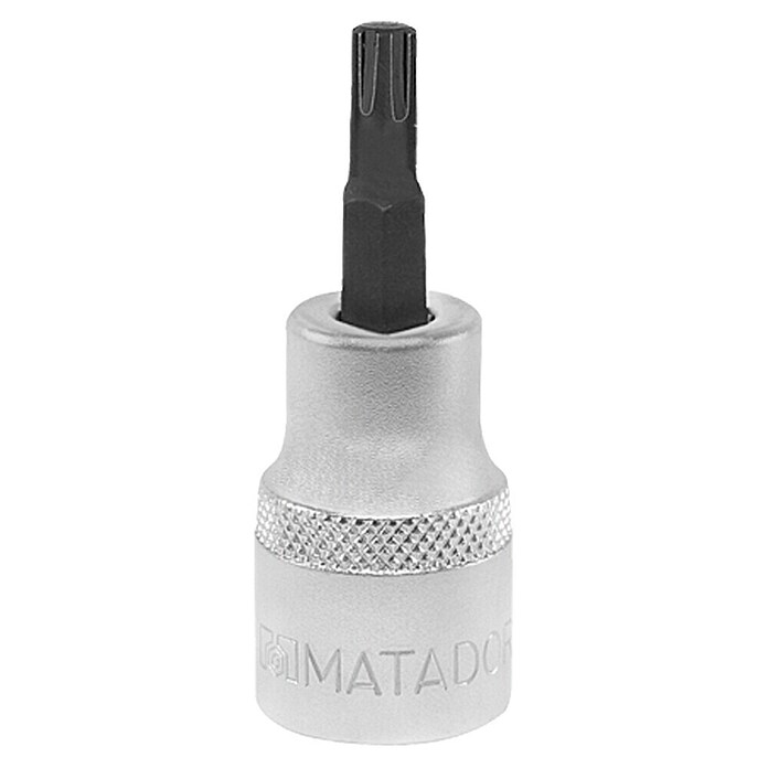 Matador Inserto para llaves de vaso (TX 40, Largo: 60 mm, ½'')