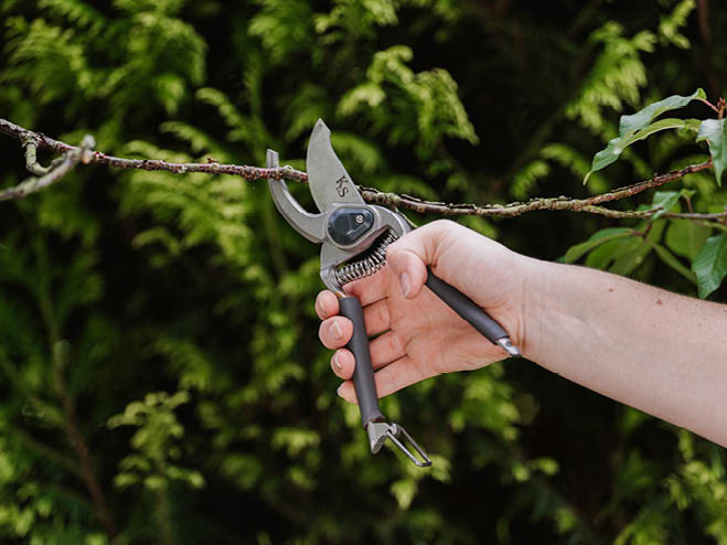 Gartenschere zur Beschneidung von Pflanzen im Frühling