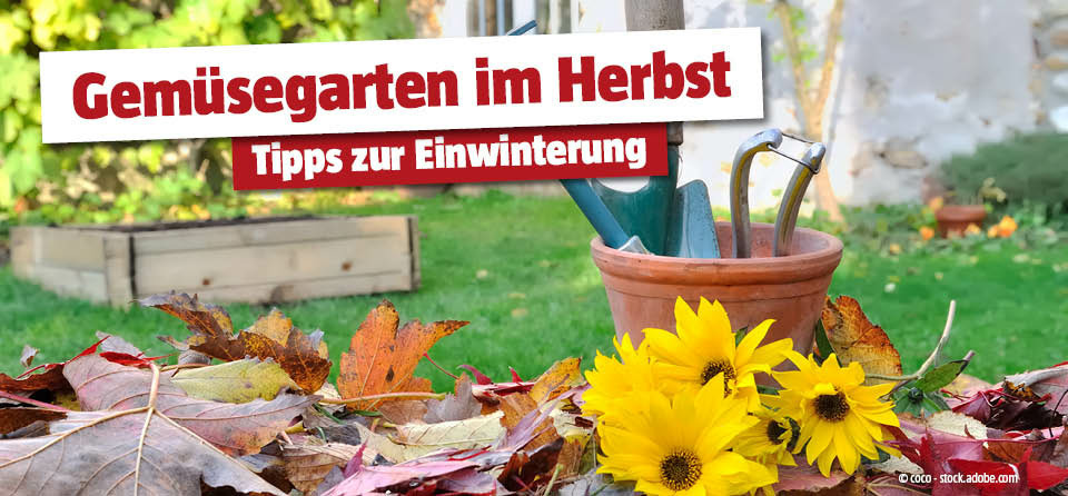 Gemüsegarten einwintern