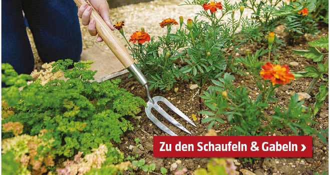 Spatengabeln und Schaufeln für die Gartenarbeit