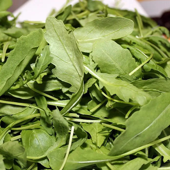Piardino Bio Rúcula - Rucola sativa - Primer plano de rúcula fresca con hojas y tallos crujientes, ideal para ensaladas y como guarnición.