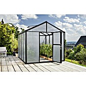 Vitavia Gewächshaus (3,14 x 2,56 x 2,5 m, Farbe: Schwarz, Polycarbonat, 10 mm)