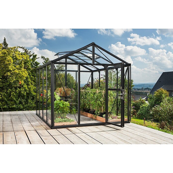 Vitavia Gewächshaus Zeus 8100 (3,14 x 2,56 x 2,5 m, Farbe: Schwarz, Einscheibensicherheitsglas (ESG), 3 mm)