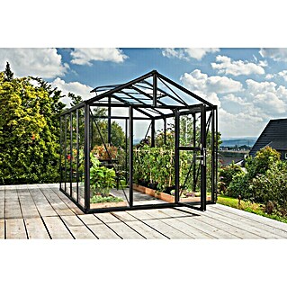 Vitavia Gewächshaus Zeus 8100 (Außenmaß inkl. Dachüberstand (B x T): 256 x 316 cm, 3 mm, Schwarz)