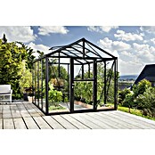 Vitavia Gewächshaus (3,14 x 2,56 x 2,5 m, Farbe: Schwarz, Einscheibensicherheitsglas (ESG), 3 mm)