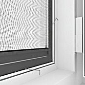 Windhager Insektenschutzfenster Expert Plisseefenster (B x H: 100 x 120 cm, Anthrazit, Schnellmontagefedern)
