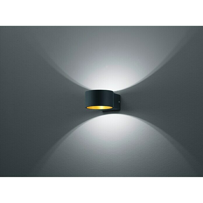 Reality Leuchten LED-Wandleuchte W, Schwarz, Lacapo BAUHAUS Schwarz, (4,5 Warmweiß) 