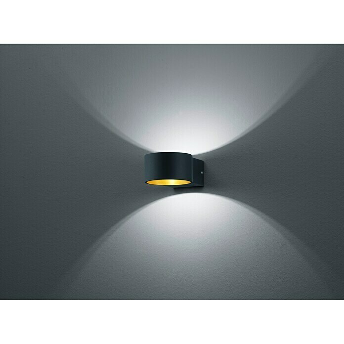 Reality Leuchten LED-Wandleuchte Lacapo4,5 W, Schwarz, Schwarz, Warmweiß Unknown