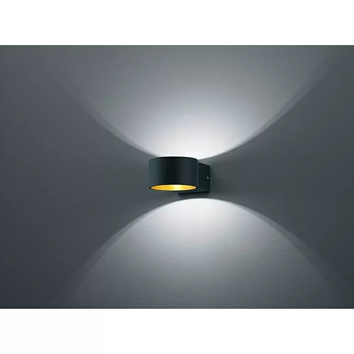 Trio Leuchten LED-Wandleuchte Lacapo - 4,5 W, L x B x H: 15 x 10,5 x 6 cm, Schwarz, Schwarz, Gold, Warmweiß