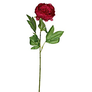 Flor artificial Peonía (Rosa oscuro, Altura: 76 cm, Plástico)