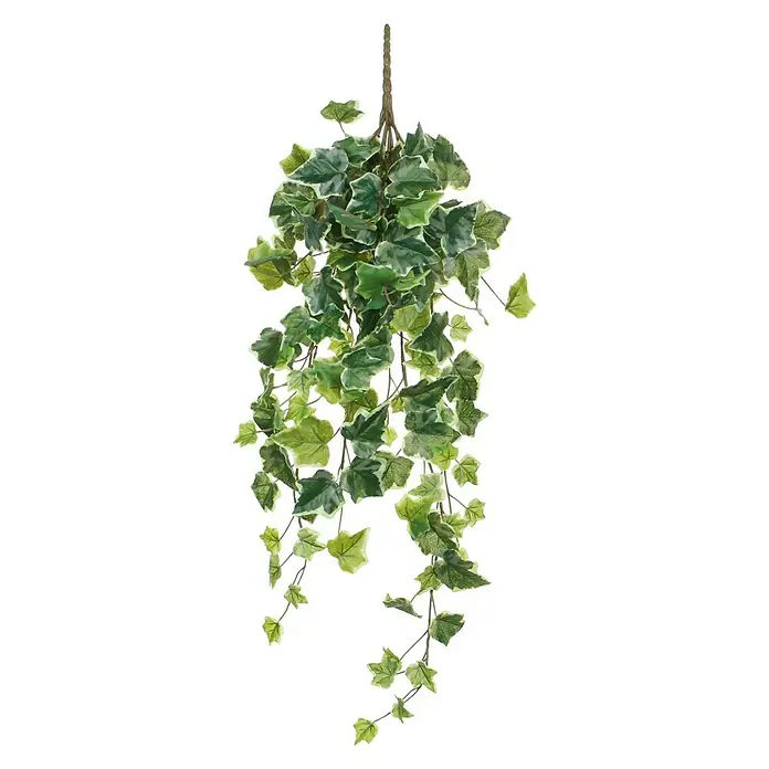 Kunstpflanze Efeu - Höhe: 71 cm, Grün, Kunststoff - Hängende Kunstpflanze Efeu mit grünen und weißen Blättern an einem braunen Seil. Sieht realistisch aus und ist pflegeleicht.
