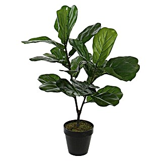 Umjetna biljka Ficus lyrata (Visina: 75 cm, Zelene boje, Plastika)